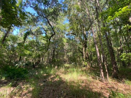 Ridgleand 15 AC Future Country Homesite