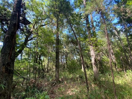 Ridgleand 15 AC Future Country Homesite