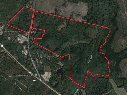 Barnwell Hunting & Timber Land