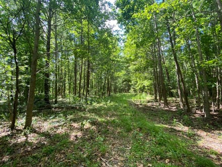 Ridgleand 15 AC Future Country Homesite