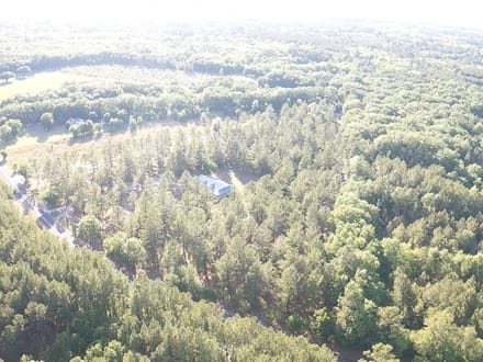 Jasper Lowcountry Rural Homesite Estate