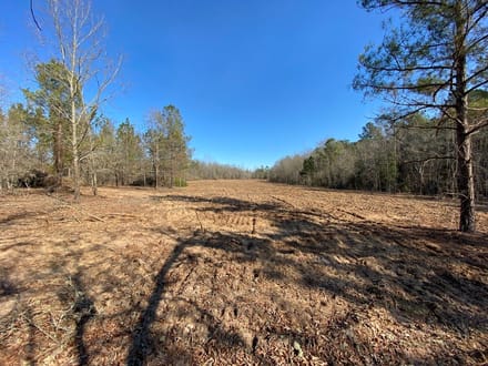 Barnwell Hunting & Timber Land