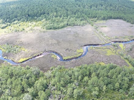 Ridgleand 15 AC Future Country Homesite