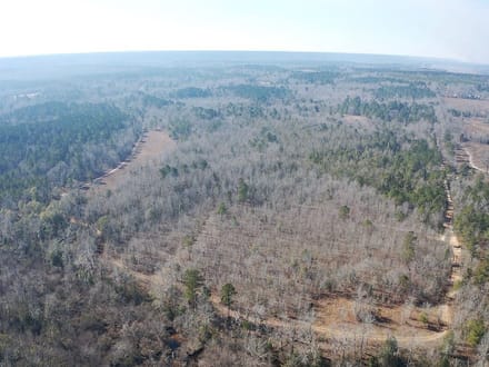 Barnwell Hunting & Timber Land