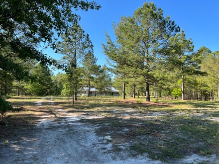 Jasper Lowcountry Rural Homesite Estate