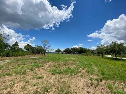 Coosaw/Judge Island Morgan River Estate Lot Beaufort