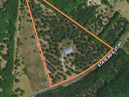 Jasper Lowcountry Rural Homesite Estate