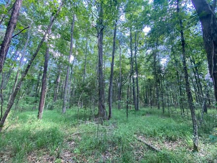 Ridgleand 15 AC Future Country Homesite