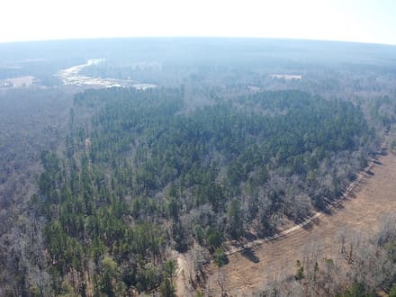 Barnwell Hunting & Timber Land