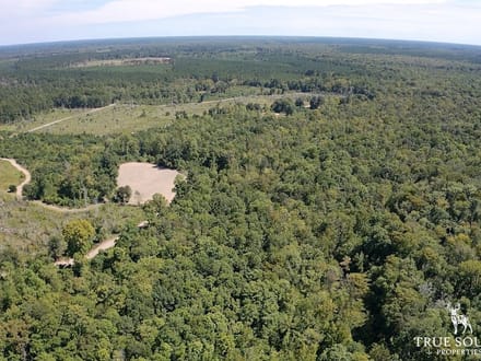 Varnville Hunting & Recreational Land Hampton Co, SC