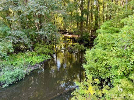Varnville Hunting & Recreational Land Hampton Co, SC