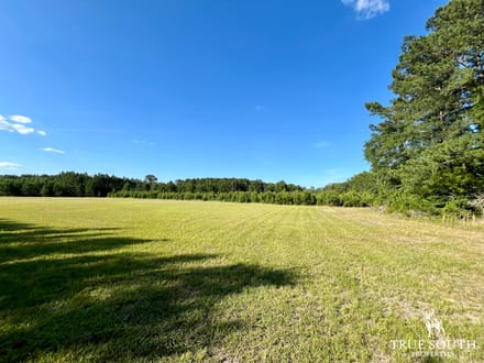 Grays Jasper Country Homesite 2 Acre Lot