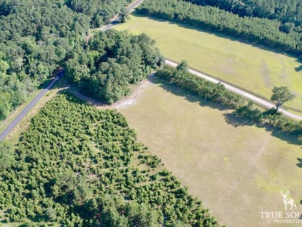Grays Jasper Country Homesite 2 Acre Lot