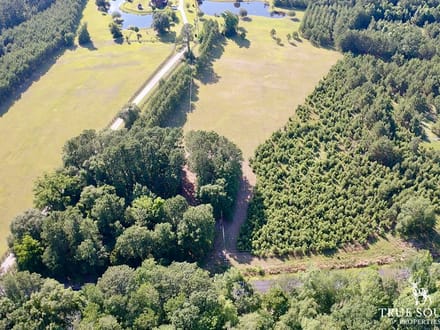 Grays Jasper Country Homesite 2 Acre Lot