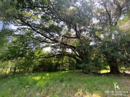 Varnville SC Lowcountry Land For Sale