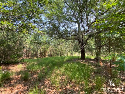 Varnville SC Lowcountry Land For Sale