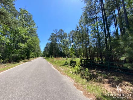 Low Country Potential Homesite Lot