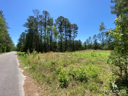 Low Country Potential Homesite Lot