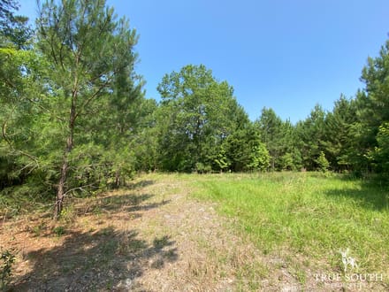 Varnville SC Lowcountry Land For Sale