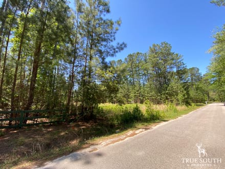 Low Country Potential Homesite Lot