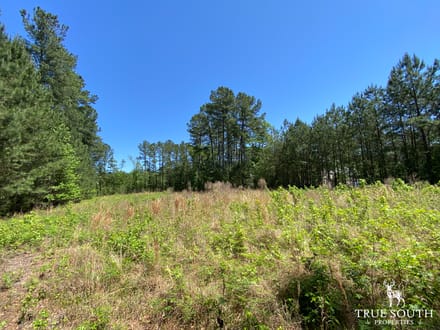 Low Country Potential Homesite Lot