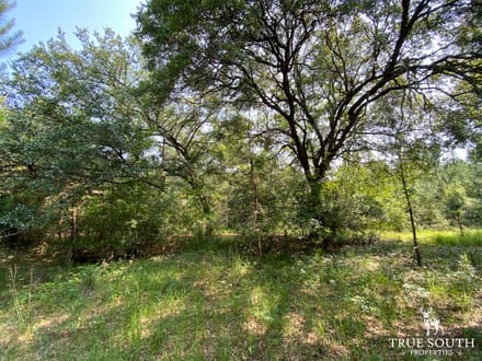 Varnville SC Lowcountry Land For Sale