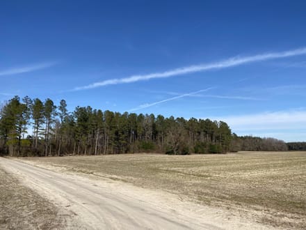 Brunson-Fairfax Croaker Swamp Farm Land
