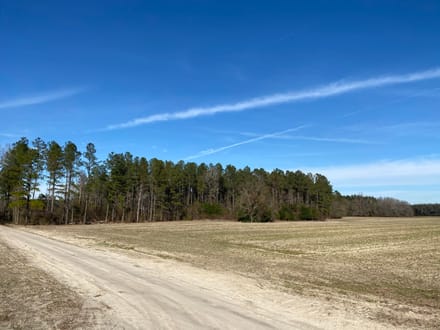 Brunson-Fairfax Croaker Swamp Farm Land