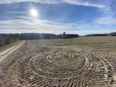 Brunson-Fairfax Croaker Swamp Farm Land