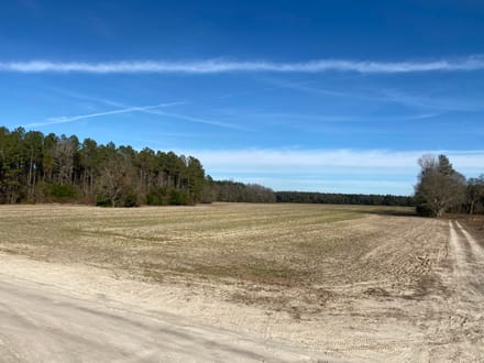 Brunson-Fairfax Croaker Swamp Farm Land