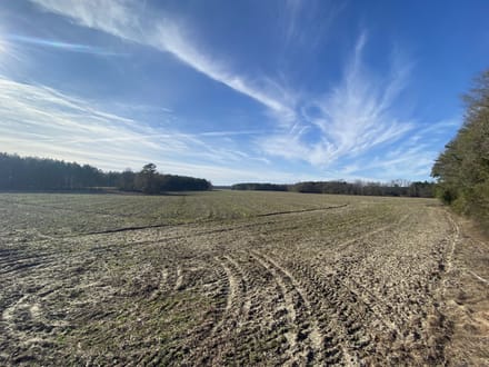 Brunson-Fairfax Croaker Swamp Farm Land