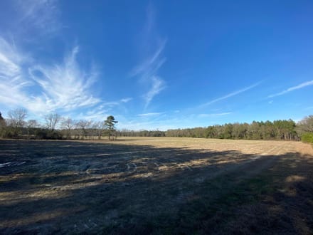 Brunson-Fairfax Croaker Swamp Farm Land
