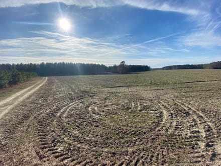 Brunson-Fairfax Croaker Swamp Farm Land