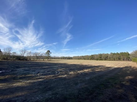 Brunson-Fairfax Croaker Swamp Farm Land