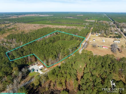 Land For Sale Hampton County SC Lowcountry