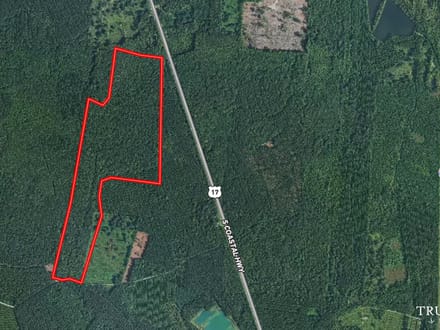 Liberty County Recreational, Timber, and Hunting Land