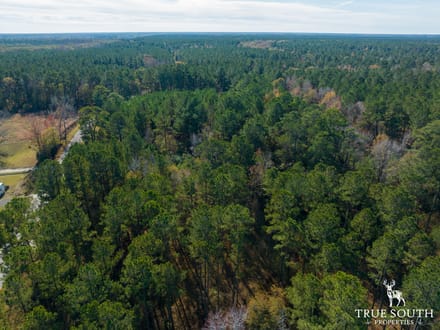 Land For Sale Hampton County SC Lowcountry