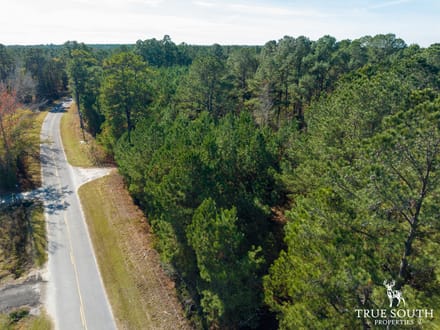 Land For Sale Hampton County SC Lowcountry