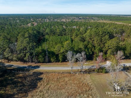Land For Sale Hampton County SC Lowcountry