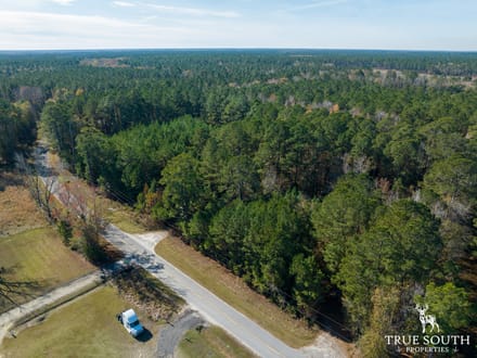 Land For Sale Hampton County SC Lowcountry