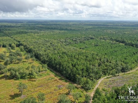 Liberty County Recreational, Timber, and Hunting Land
