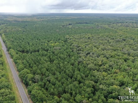 Liberty County Recreational, Timber, and Hunting Land
