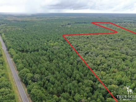 Liberty County Recreational, Timber, and Hunting Land