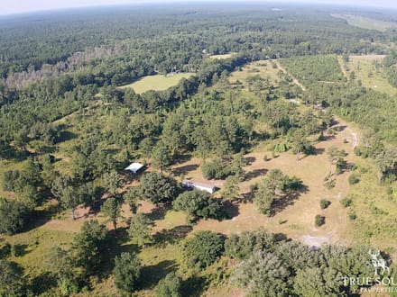 Jasper Gillison Branch Lowcountry SC Hunting Estate