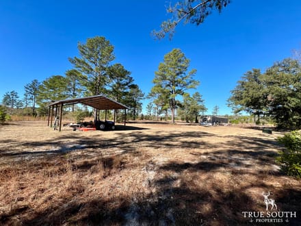 Jasper Gillison Branch Lowcountry SC Hunting Estate