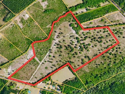 Jasper Gillison Branch Lowcountry SC Hunting Estate