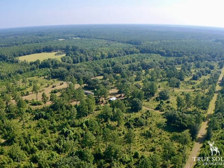 Jasper Gillison Branch Lowcountry SC Hunting Estate
