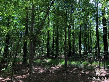 Hampton Midway Small Commercial Lot