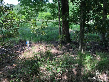 Hampton Midway Small Commercial Lot