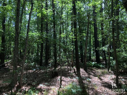 Hampton Midway Small Commercial Lot